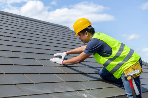 Best Emergency Roof Repair  in Velva, ND