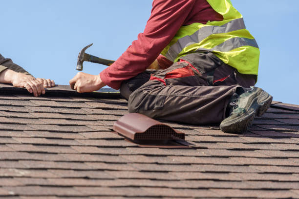 Best Flat Roof Repair Services  in Velva, ND