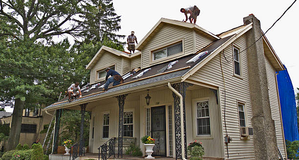 Best Storm Damage Roof Repair  in Velva, ND